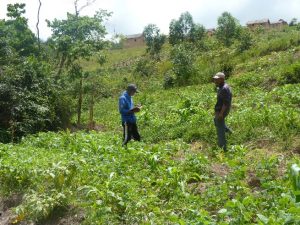 DAF-Trainer beraten Landwirte auf einer Parzelle in Madagaskar